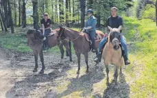  ?? FOTO: BELZ ?? Katinka Szeteli (links) und Eugen Schmid (rechts) nehmen Redakteuri­n Verena Pauer mit auf einen Ausritt ins Gelände.