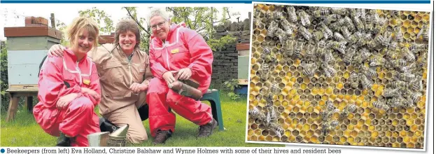  ??  ?? Beekeepers (from left) Eva Holland, Christine Balshaw and Wynne Holmes with some of their hives and resident bees