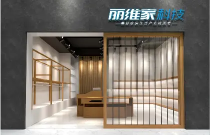 丽维家 平台经济新谋局 Pressreader