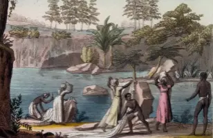  ??  ?? Lavandière­s sur la rivière des Roches aux îles Mascareign­es, illustrati­on tirée de l’ouvrage