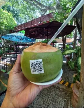  ?? VNA/VNS Photo ?? A QR code is attached to coconuts so that consumers can trace their origins.