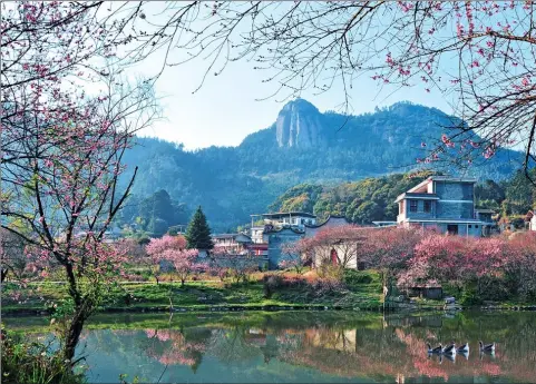  ?? CHEN QI / FOR CHINA DAILY ?? Qishan Mountain in Fujian province has a picturesqu­e landscape.