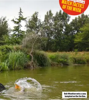  ??  ?? Rob Wootton nets a carp tempted on the 5m line.