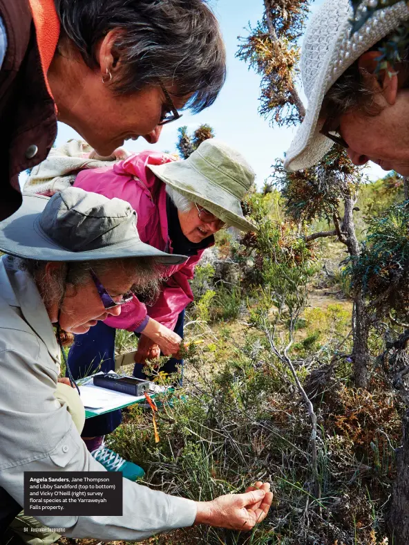  ??  ?? Angela Sanders, Jane Thompson and Libby Sandiford (top to bottom) and Vicky O’Neill (right) survey floral species at the Yarraweyah Falls property.