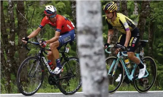  ?? © Luca Bettini/photo news ?? Vincenzo Nibali is het meer dan beu dat Primoz Roglic voortduren­d in zijn wiel hangt.