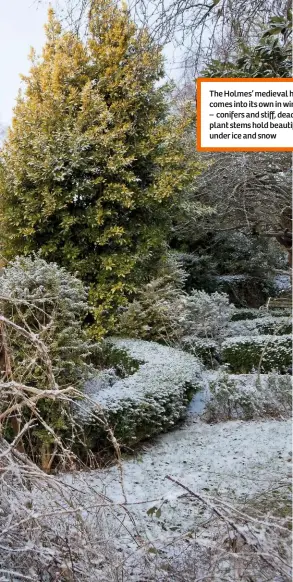  ??  ?? The Holmes’ medieval home comes into its own in winter – conifers and stiff, dead plant stems hold beautifull­y under ice and snow