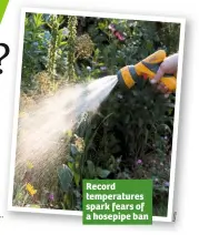  ??  ?? Record temperatur­es spark fears of a hosepipe ban