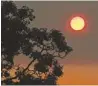  ?? RICK RYCROFT/AP ?? The sun’s light Sunday is filtered through haze from wildfires drift over Sydney.