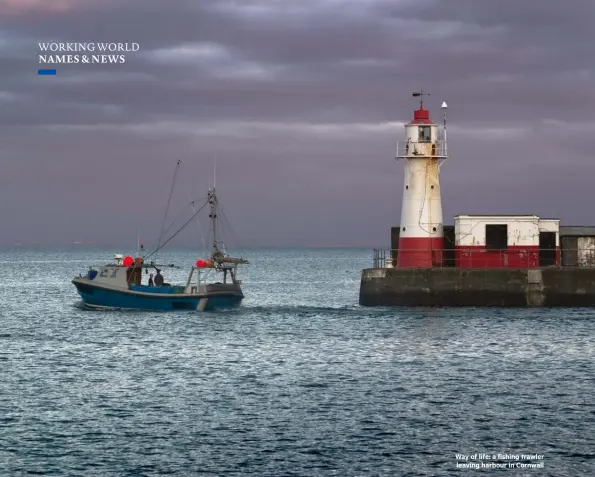  ??  ?? Way of life: a fishing trawler leaving harbour in Cornwall