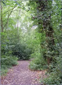  ??  ?? Enjoy a nature trail for National Biodiversi­ty Week.