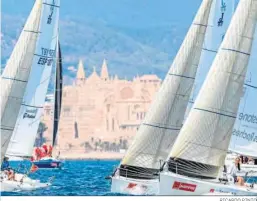  ?? RICARDO PINTO ?? Regata de la Mallorca Sotheby’s Women’s Cup de la última edición.