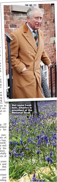  ??  ?? Get some fresh heir...Charles is president of the National Trust