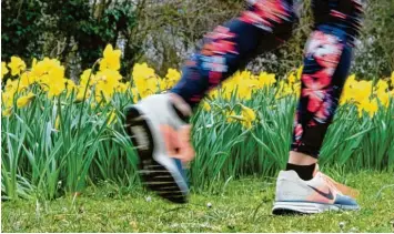  ??  ?? Beim Laufen sind vor allem die Schuhe wichtig, denn sie können den Aufprall abfedern. Im Frühling, wenn es trocken ist, spricht nichts dagegen, auf Feinschott­er oder Graswegen zu laufen.