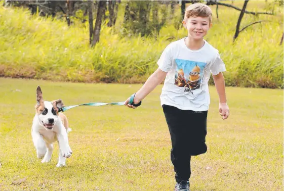  ?? Picture: MIKE BATTERHAM ?? Ryder Kristie from Ormeau with his new companion dog Samson.