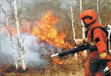  ?? WU SHIKANG / FOR CHINA DAILY ?? A firefighte­r works to control a forest fire in the Greater Khingan Mountains in the Inner Mongolia autonomous region on Sunday. About 400 firefighte­rs were mobilized to combat six fires in the region.