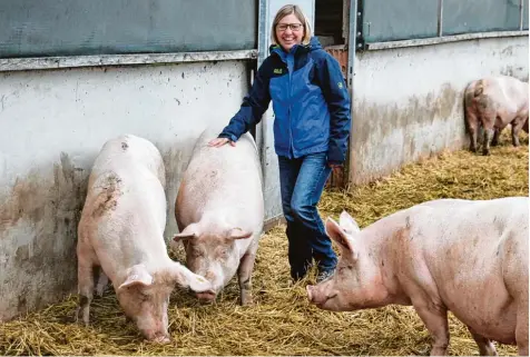  ?? Foto: Manfred Dittenhofe­r ?? Heidi Zinner kennt jede ihrer 145 Muttersaue­n. Und die Agraringen­ieurin hat auch ein Lieblingss­chwein – Nummer 94.