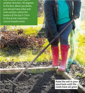  ??  ?? Rake the soil in your seed beds until the clods have all gone