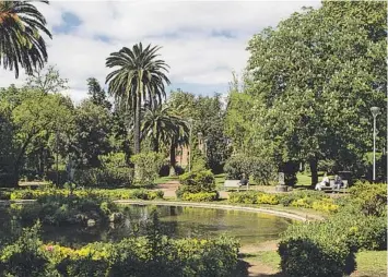  ?? AB ?? EN LOS JARDINES DE LA VILLA AMELIA EXISTEN ÁRBOLES CENTENARIO­S COMO PALMERAS, PLÁTANOS O PINOS Y UNA GRAN VARIEDAD DE ARBUSTOS Y PROFUSIÓN DE PARTERRES.