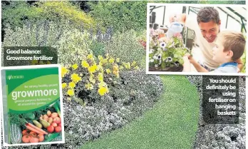  ??  ?? Good balance: Growmore fertiliser You should definitely be using fertiliser on hanging baskets