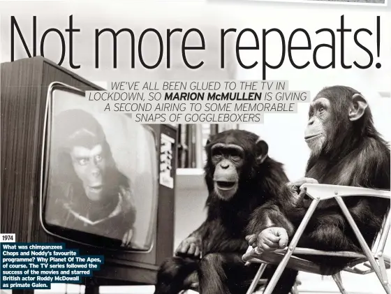  ??  ?? 1974
What was chimpanzee­s success of the movies and starred British actor Roddy McDowall as primate Galen.