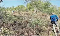  ?? - Crédits : LPO Aveyron ?? Un chantier de restaurati­on a pu être réalisé avec la participat­ion de l’ADMR d’Entraygues.