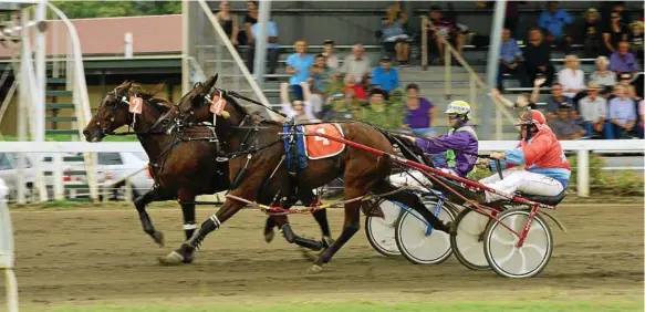  ?? Photo: David Nielsen ?? HARNESS RACING WIN: Harness racing at Marburg is set to benefit from additional meetings and increased prize money.