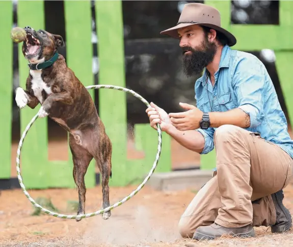  ?? Picture: MIKE DUGDALE ?? HAVE A BALL: Jimmy's Dog Training owner Jimmy Graham and dog Arnold yesterday.