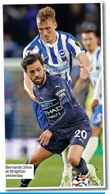  ?? ?? Bernardo Silva at Brighton yesterday