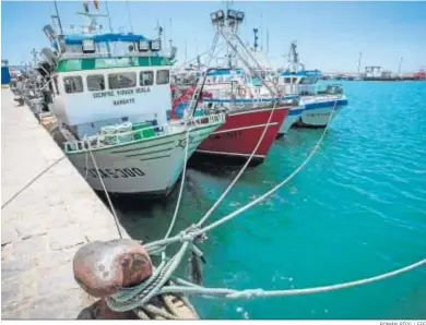  ?? ROMÁN RÍOS / EFE ?? Barcos de pesca amarrados en la localidad gaditana de Barbate.