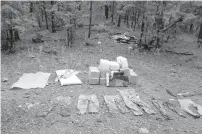  ?? Foto CORTESÍA ?? Agentes de la AEI aseguraron 153 kg de marihuana y destruyero­n el campamento.