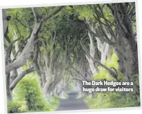  ??  ?? The Dark Hedges are a huge draw for visitors