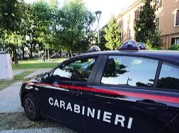  ?? ?? Carabinier­i
La donna è scappata da Brendola e si è rifugiata nella tenenza di Montecchio Maggiore