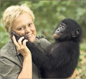  ??  ?? Muriel Robin : « L’associatio­n Lola Ya Bonobo va me confier Kinsele pour l’accompagne­r dans son parcours d’émancipati­on avant qu’il reparte vivre libre avec les siens ».
