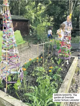  ??  ?? GREEN SHOOTS: The garden at Overdale Junior School, Leicester