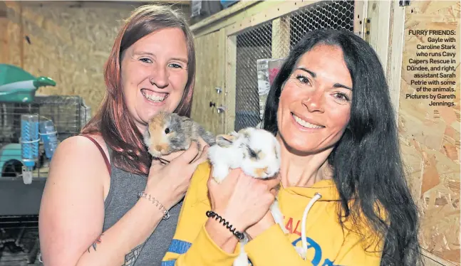  ?? ?? FURRY FRIENDS: Gayle with Caroline Stark who runs Cavy Capers Rescue in Dundee, and right, assistant Sarah Petrie with some of the animals. Pictures by Gareth Jennings.
