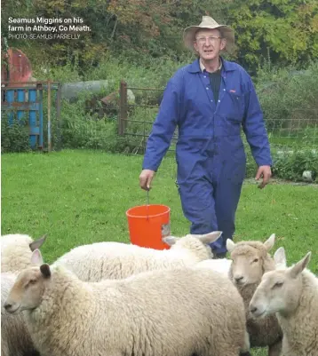  ?? PHOTO: SEAMUS FARRELLY ?? Seamus Miggins on his farm in Athboy, Co Meath.