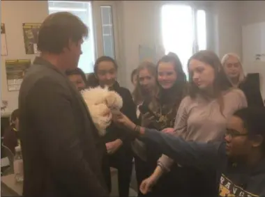  ?? ZACHARY SRNIS — THE MORNING JOURNAL ?? Friendship Animal Protective League President Greg Willey holds “Q-Tip” while North Ridgeville Academic Center eighthgrad­e students gather around.