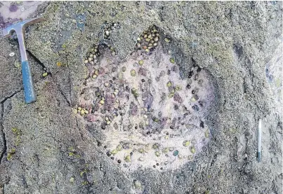  ?? Picture: PA. ?? A footprint made by a sauropod dinosaur, found on the Isle of Skye. The discovery is the second such one discovered on the island and is said to be globally important.