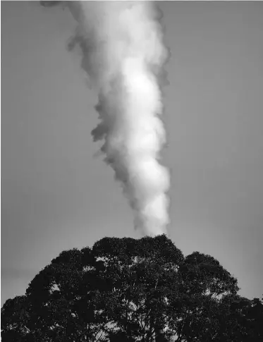  ?? IAN WALDIE/ GETTY IMAGES FILES ?? Trapping CO2 in smokestack filters and permanentl­y burying it is one way to contain emissions.