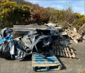  ??  ?? Recent illegal dumping at Carrickarn­on.