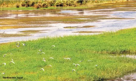  ??  ?? The River Nile, Egypt