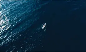  ?? Photograph: Piers Haskard/Supplied ?? The Shaw and Partners Atlantic Crew, of Sam Horsley, James Samuels, Rob Wells and Louis Hugh-Jones, train in Sydney ahead of the Talisker Whisky Atlantic Challenge, a 5,00km race across the Atlantic Ocean.