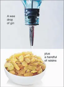  ??  ?? TELEGRAM PHOTO ILLUSTRATI­ON LEFT:
It’s an old-fashioned remedy your grandmothe­r may have sworn by. Gin-soaked raisins are the bees knees for aches and pains. But you’ve got to use them wisely.