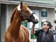  ?? TIMOTHY D. EASLEY — THE ASSOCIATED PRESS ?? Triple Crown winner Justify, and assistant trainer Jimmy Barnes look at each other following his arrival at Churchill Downs, Monday in Louisville, Ky.