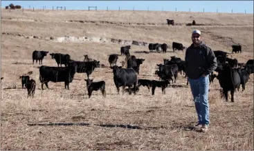  ?? Donnis Hueftle- Bullock ?? Above, Kory Ostrand stands with the early calves of 2021.