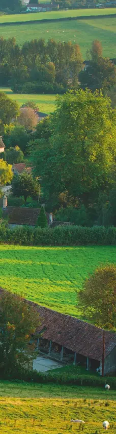  ??  ?? Picture perfect: evening sunlight over the village of Corton Denham in Somerset