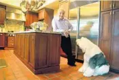  ?? MIKE STOCKER/STAFF PHOTOGRAPH­ER ?? Lee Schrager, head of the South Beach Wine and Food Festival, at his home in Coral Gables with his dog Charlie.