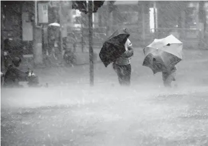  ??  ?? 受台风“利奇马”影响，上海发布暴雨橙色预警。8月10日，在上海市莘松路，市民冒雨行走新华社图