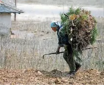  ?? PHOTO: AP ?? History will judge us harshly in terms of how we responded to the humanitari­an tragedy that is North Korea, writes Simon Draper.