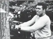  ?? RUSTY KENNEDY — THE ASSOCIATED PRESS FILE ?? Muhammad Ali chops at a tree with an axe at his training camp in Deer Lake, Pa., in preparatio­n for his return match against Ken Norton. The rustic Pennsylvan­ia training camp where Ali prepared for some of his most famous fights has undergone an elaborate restoratio­n. The camp in Deer Lake opened to the public Saturday as a shrine to his life and career.